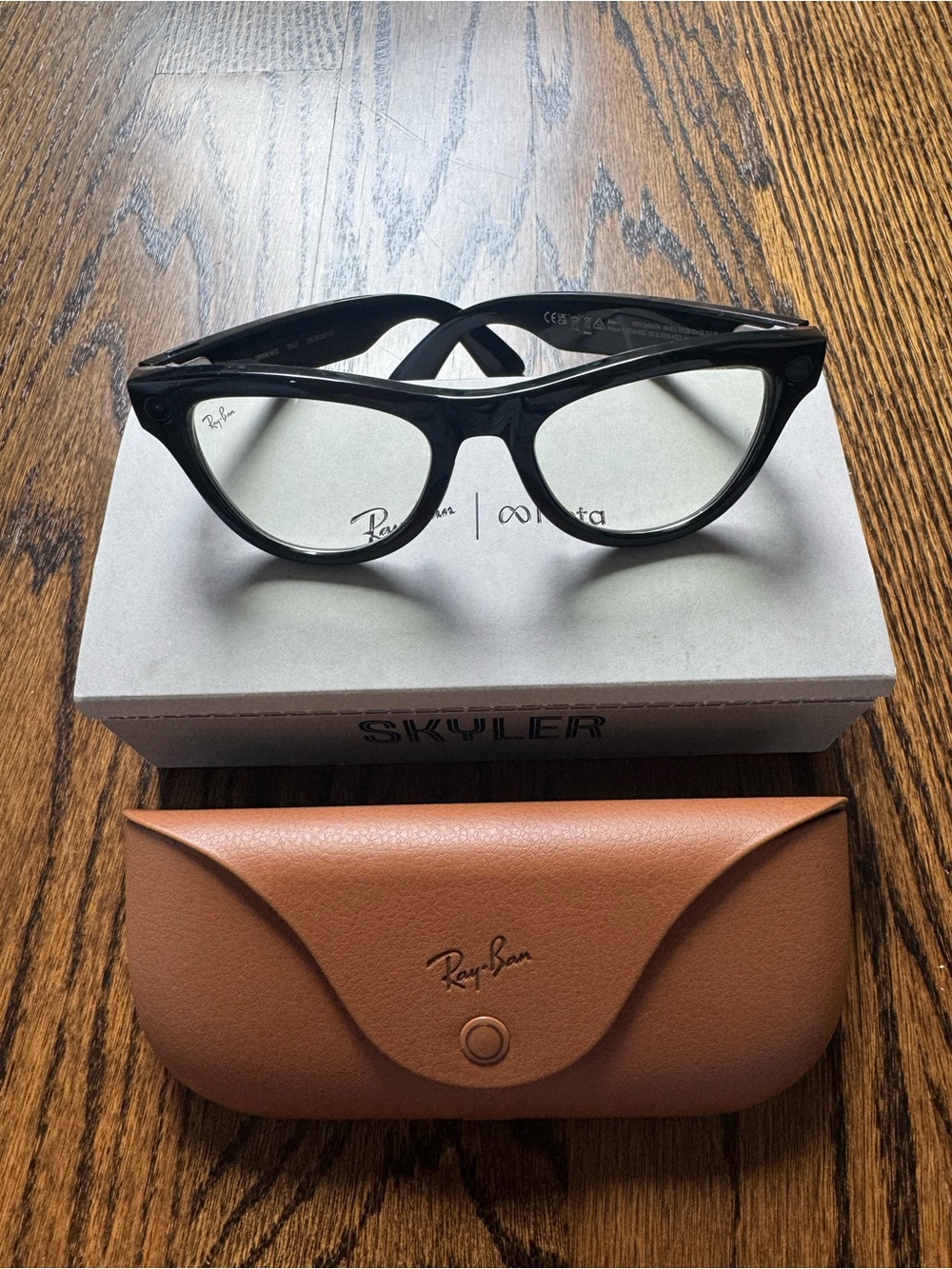 Ray-Ban Black Frame Eyeglasses with Brown Case
